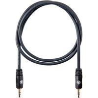 Read more about the article Planet Waves 1/8 Inch to 1/8 Inch Stereo Cable 3 feet