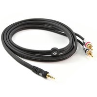 Planet Waves Dual RCA to Stereo Mini Jack Cable 5ft