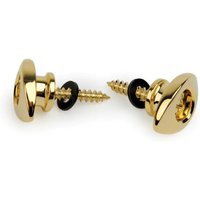 Read more about the article Planet Waves Elliptical End Pins Gold