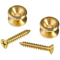 Planet Waves Solid Brass End Pins Brass (Pair)