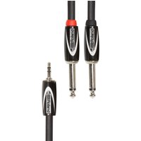 Read more about the article Roland 1/8 TRS – Dual 1/4 Interconnect Cable 10ft/3m