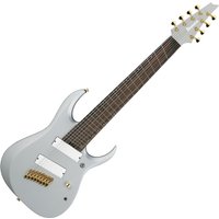 Read more about the article Ibanez RGDMS8 RG Classic Silver Matte